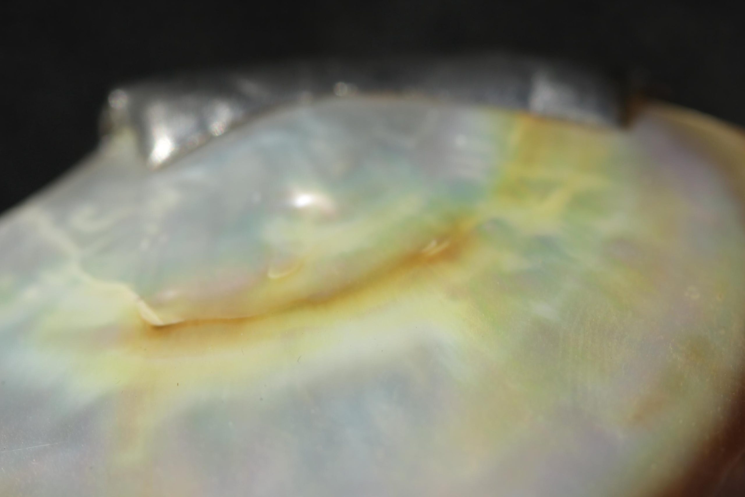Seashell Stained Glass Jewelry Box: Handmade Trinket Keepsake with Suede Base - Image 9