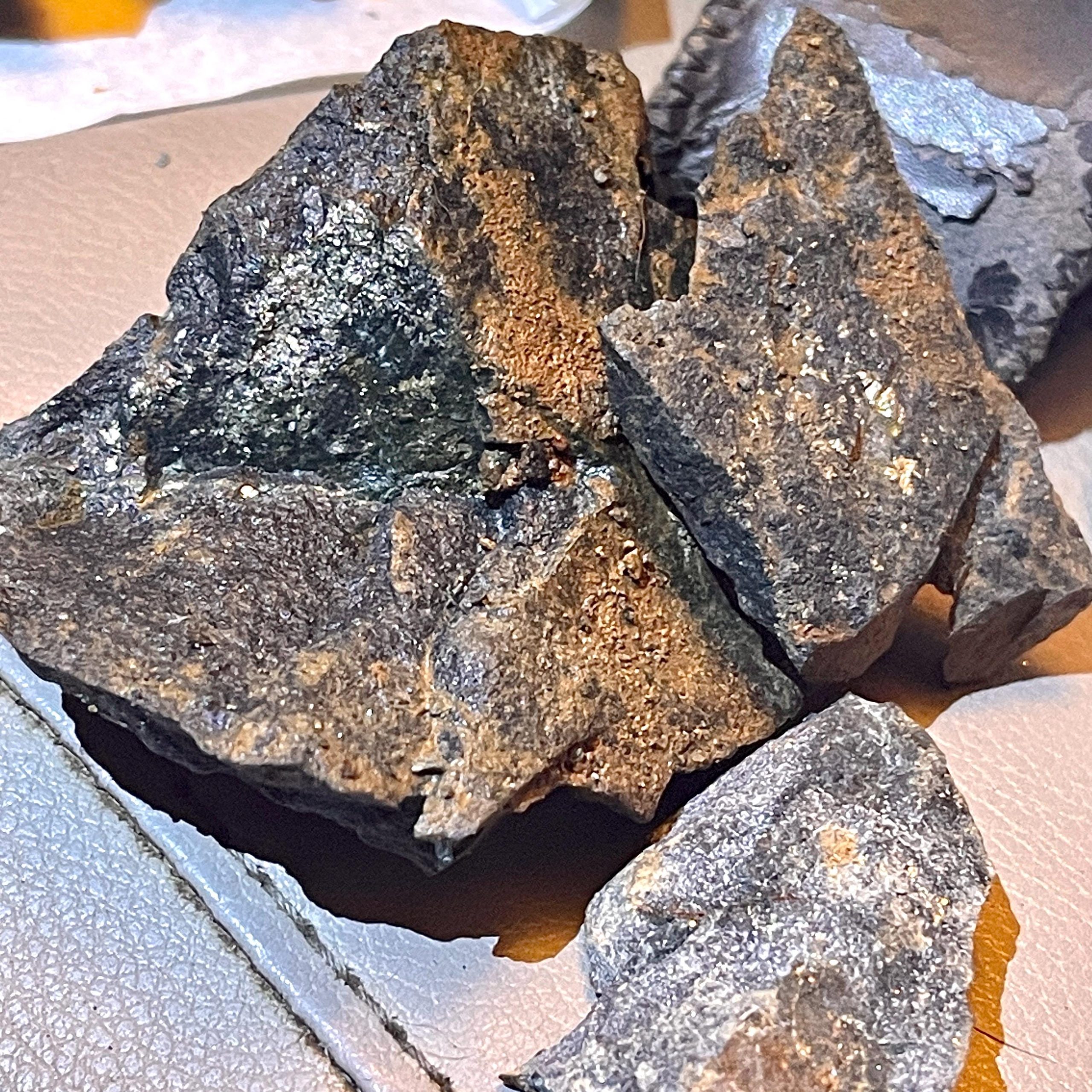 Sierra Foothills Gold Specimen – Gold Ore Quartz Vein - Image 6