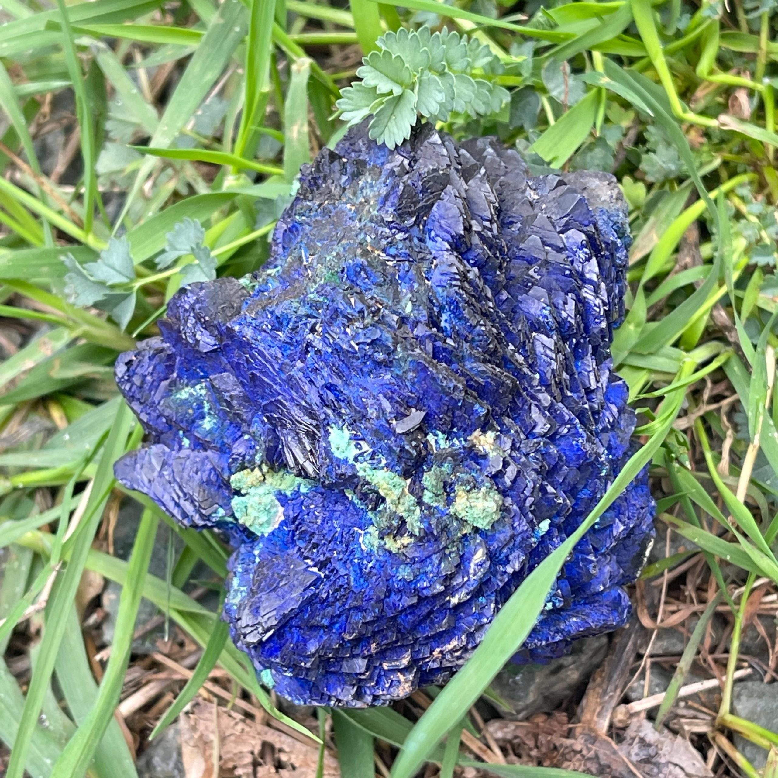 Vintage Azurite Malachite Crystal Rosette – Natural Gemstone Specimen - Image 4